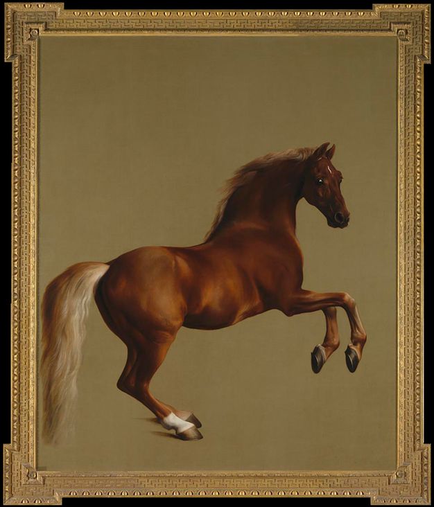 Painting. Facing our right in profile, a chestnut-brown horse, named Whistlejacket, rears against a blank, olive-green background.
