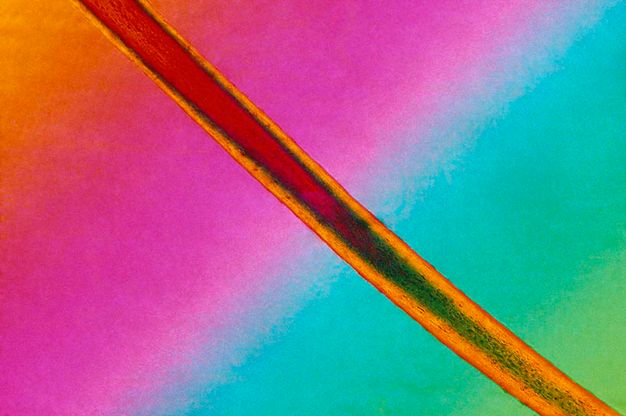 Tapestry. A line cuts from the top left corner to the bottom right of this horizontal composition against a vividly coloured background. The line is forest green and red at its centre, and marigold orange at the edges. The background blends from pumpkin orange to magenta pink, then aqua blue and lime green. Those bands run opposite of the slicing line.