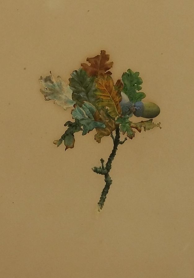Watercolour. A nubbly twig with a spray of multicoloured oak leaves and an acorn are against a golden tan background. The leaves deepen from frosty green to darker hues, and some turn rust brown.