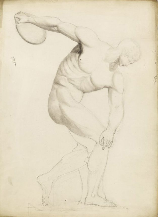 Drawing. A muscular, nude man is sketched in faint grey lines on cream-coloured paper. He bends almost double, one arm holding a discus swung back behind him. The other hand crosses his body so is outside the opposite knee. The face, second arm, and legs are outlined. The musculature on the torso is shaded in more detail.