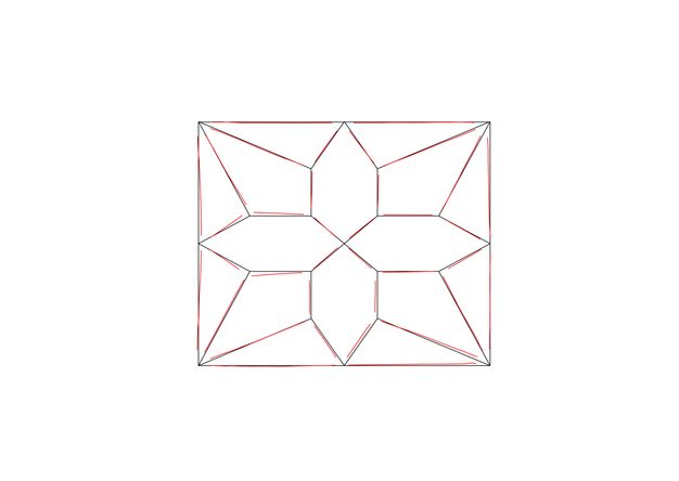 Diagram. A rectangle enclosing an octagonal, flower-like pattern is outlined in red and black. The lines are close but rarely completely overlap.