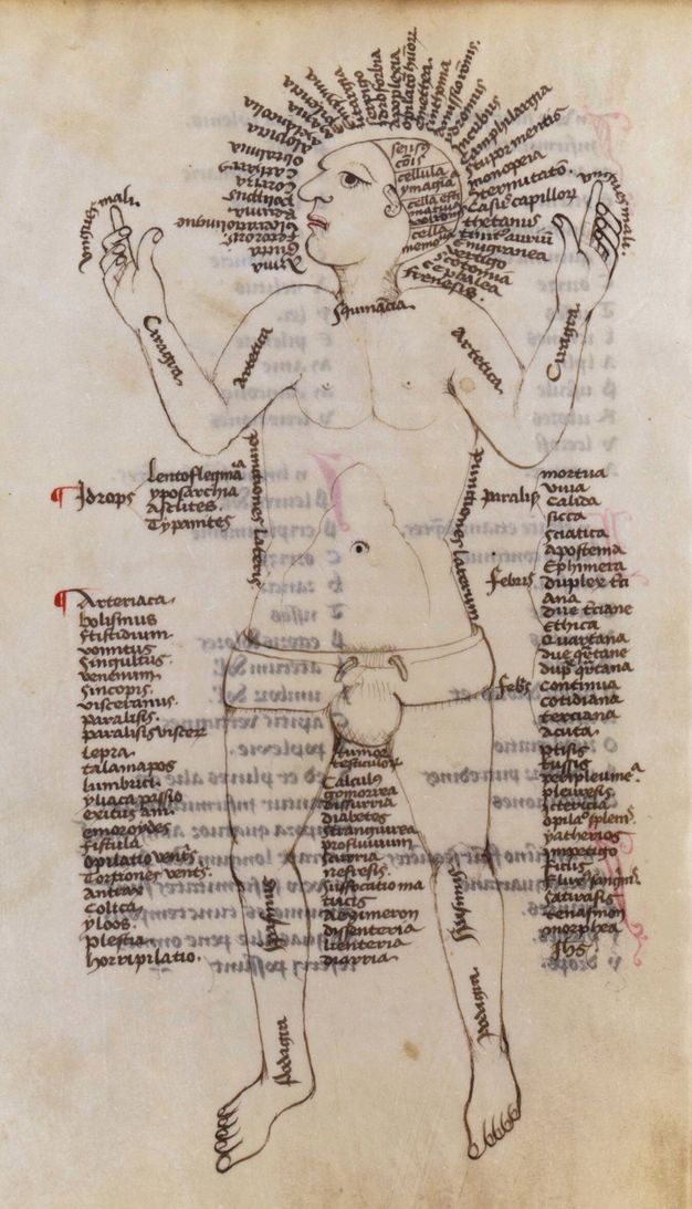 Illumination. A man seems to lie flat, wearing only a loincloth. His elbows are bent so his hands are by his head. Columns of text line his body and some body parts are labelled. Lines of text fan like a starburst around his head.