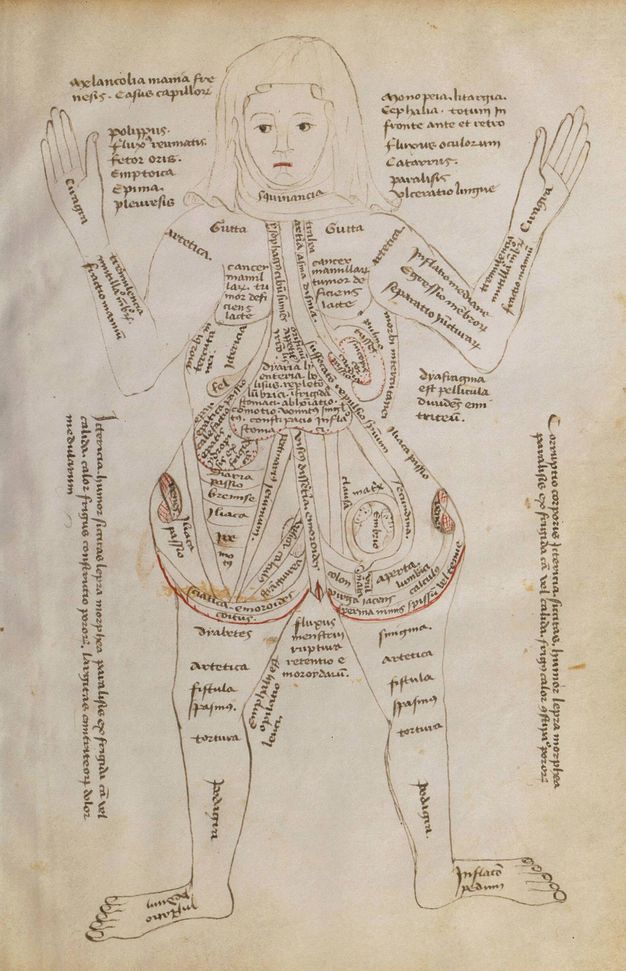 Illumination. A woman wearing a head covering holds her hands up at head level and her feet fall open. Her torso is shaped like an upside-down heart, her pregnant belly having been cut open to show organs within. There is text on and around every body part.