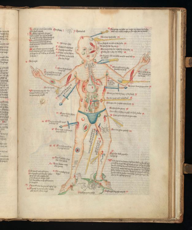 Illumination. A man has been poked, cut, sliced, stabbed, and scraped with knives, daggers, spears, arrows, and branches. A small dog bites one ankle, a snake wraps around the other ankle and bites that foot, and various insects and arachnids bite his arms and legs. Text is written alongside the wounds. The skin from his torso has been removed to show the organs.
