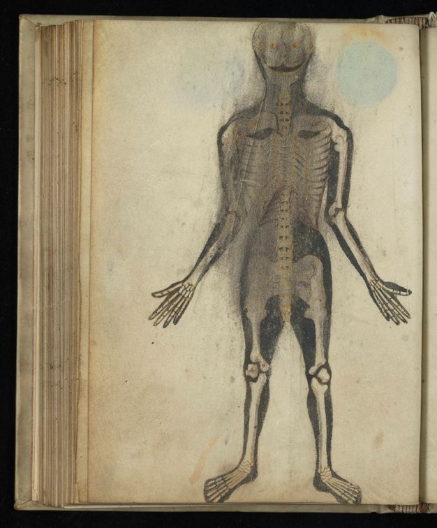 Illumination. The black shape of a body is overlaid with a white skeleton. The figure stands with arms by its sides and hands held out. The skull grins widely, and yellow eyes stare unflinchingly out at us. The black colouring of the torso area and head is badly smudged.