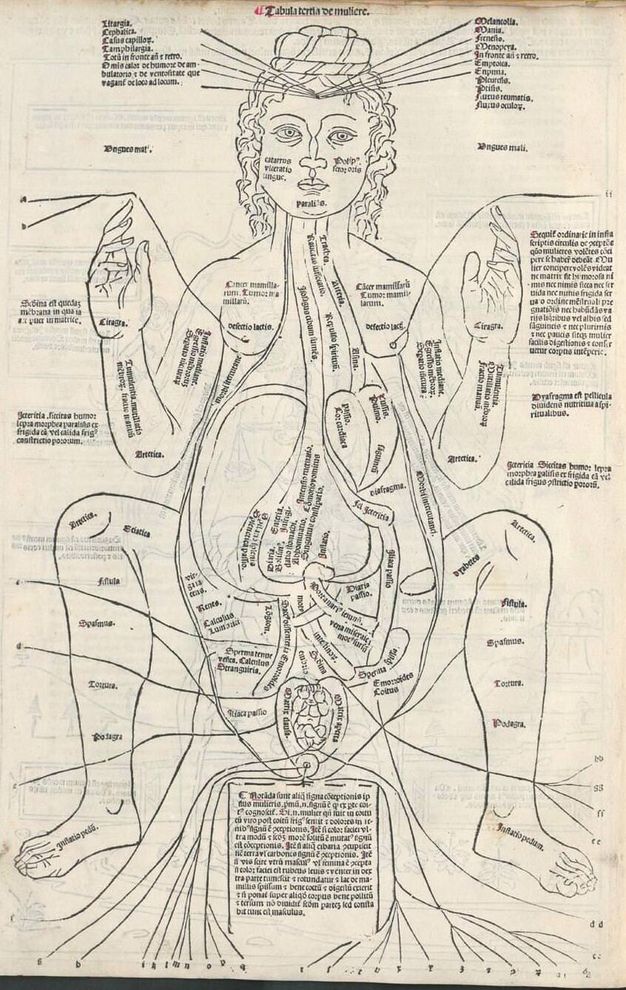 Illustration. A woman bends her arms and legs so her elbows and knees nearly touch. Skin has been removed to show the organs, including a tiny foetus, in her tear-drop-shaped torso. Body parts are labelled on the body and in text around the perimeter of the illustration.