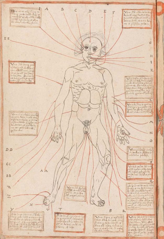 Drawing. A muscular, nude man has about three dozen red lines pointing to body parts. Lines connect to handwritten text in grey or red boxes. Others are labelled with letters.