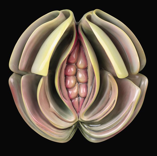 Plate. This highly sculptural plate has deep folds around a narrow opening. The centre has eight lobe-like forms in pale pink. The petals or leaves clustered around it are in shades of pale pink, yellow and green.