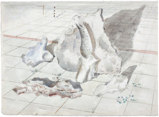 Watercolour. Four craggy white objects, which look like fragments of flint, are shaded with pale blue or pink and cast long shadows against a gridded floor.