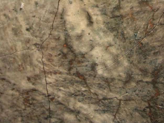 Painting. Detail view of dark paint showing through cracks in a layer of ivory-white paint.