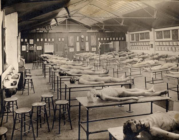 Black and white photograph. Twenty-six cadavers are laid out on long tables in this cavernous room. The room is lit from skylights above. A row of four sinks is on the wall to our left. The walls are hung with illustrations of dissections.