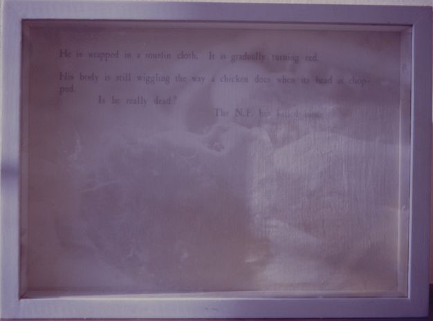 Mixed media. The shadowy, ethereal form of a doll is printed in tones of mauve and fig purple. Text in deep purple across the top of the photograph reads, “He is wrapped in a muslin cloth. It is gradually turning red. His body is still wiggling the way a chicken does when its head is chopped. Is he really dead? The N.F. has killed him”.