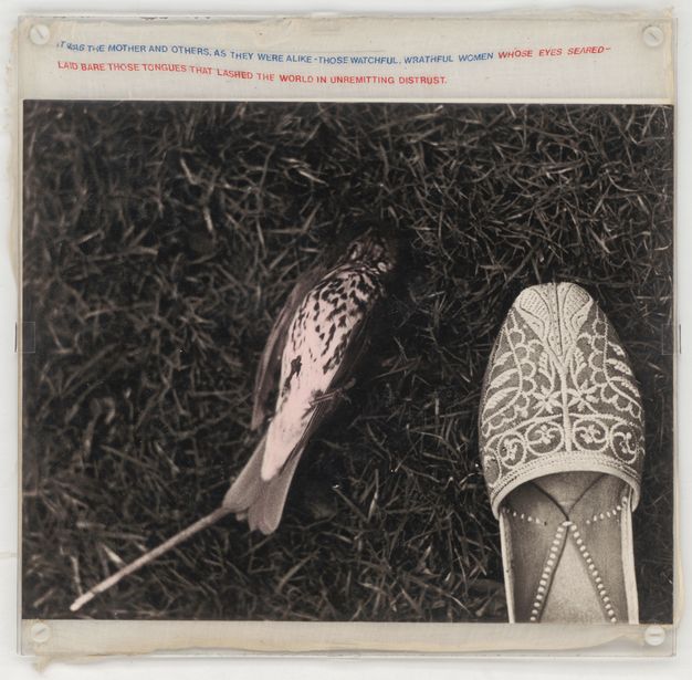 Mixed media. A black and white photograph shows a dead bird lying on its back in the grass. We look down on it and an emboidered leather slipper. Text in all caps printed on muslin above the image reads, first in blue, “It was the mother and others, as they were alike – those watchful, wrathful women” and then in red, “Laid bare those tongues that lashed the world in unremitting distrust.”