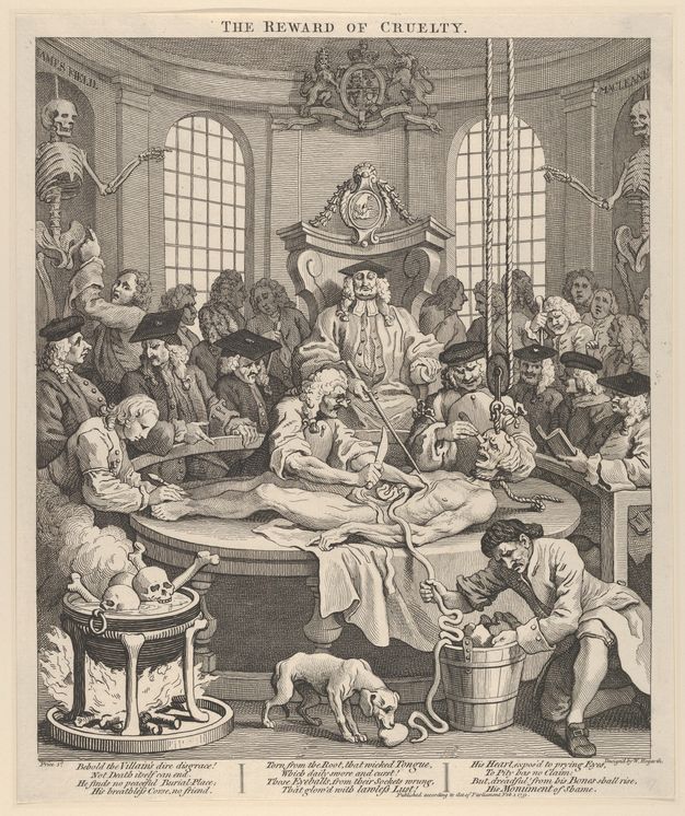 Print. A scrawny body with a noose around its neck lies on a dissection table. Three men cut the corpse while a fourth pulls entrails into a bucket. A gallery of men wearing powdered, curly wigs look on around a throne-like seat occupied by a man in heavy robes.