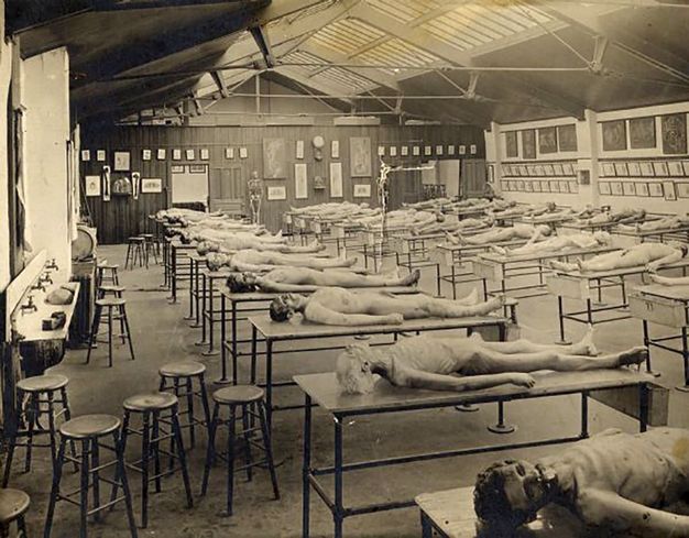Black and white photograph. Twenty-six cadavers are laid out on long tables in this cavernous room. The room is lit from skylights above. A row of four sinks is on the wall to our left. The walls are hung with illustrations of dissections.
