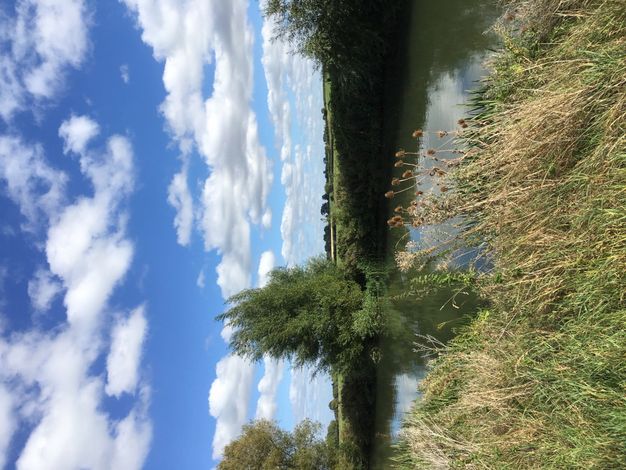 Long grasses and plants grow in front of us, before a winding river. A couple trees blow in the wind on the far riverbank, which gives away to a vista of flat, green fields. White clouds trundle across the vivid blue sky above.